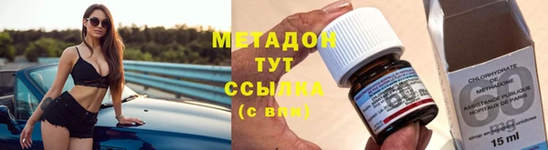 прущие грибы Армянск