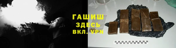 прущие грибы Снежногорск