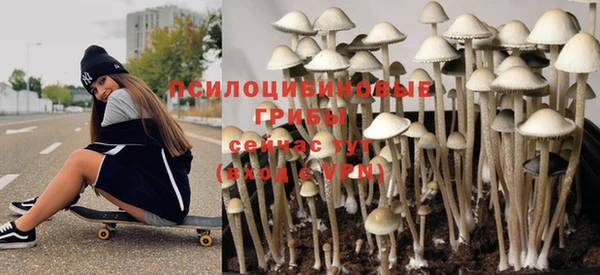 ешки Алексеевка