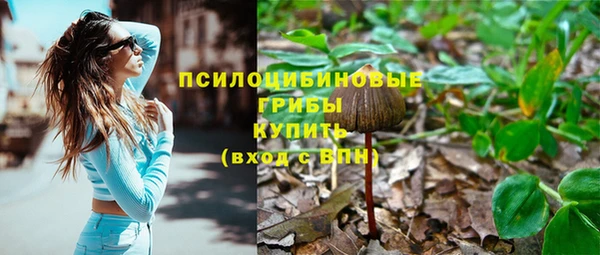 прущие грибы Армянск
