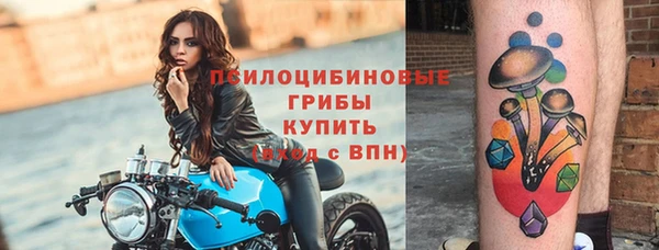 прущие грибы Армянск