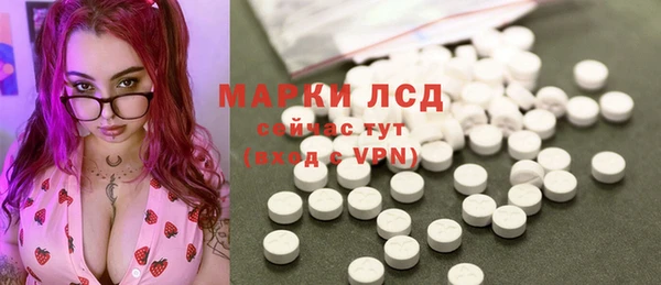 прущие грибы Армянск