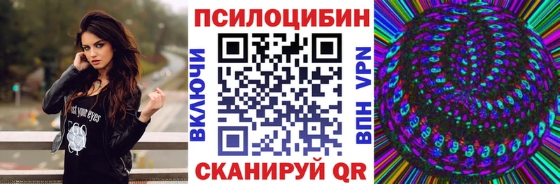 что такое kraken tor Галлюциногенные грибы Psilocybine cubensis Краснослободск